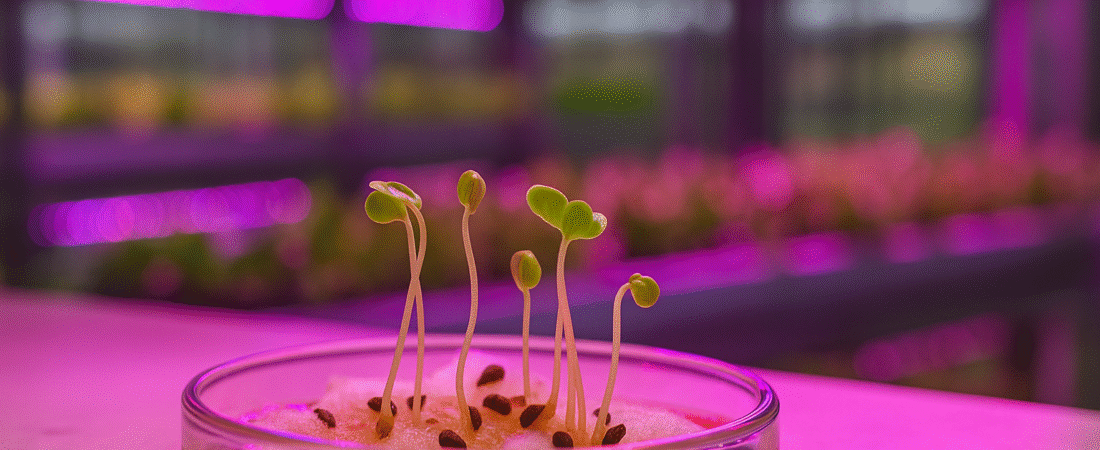 Come Testare la qualità del Tè di Lombrico per l’Idroponica: 6 Prove Semplici ma Potenti