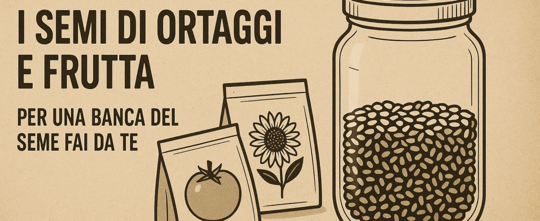 Come conservare i semi di ortaggi e frutta per una banca del seme fai da te