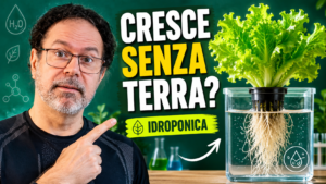 Idroponica spiegata semplice (a scuola)